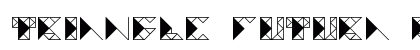 TRIANGLE FUTURA Regular preview