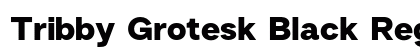 Tribby Grotesk Black Regular preview
