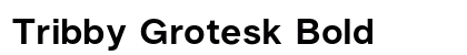 Tribby Grotesk Bold preview