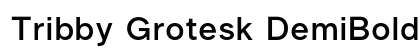 Tribby Grotesk DemiBold Regular preview