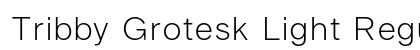 Tribby Grotesk Light Regular preview
