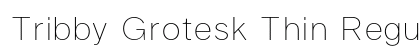 Tribby Grotesk Thin Regular preview