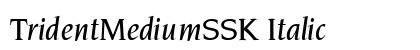 TridentMediumSSK Italic preview
