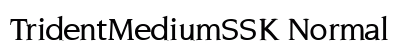 TridentMediumSSK Normal preview