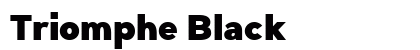 Triomphe Black preview