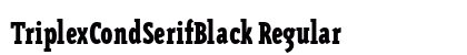 TriplexCondSerifBlack Regular preview