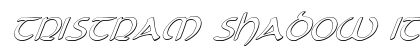 Tristram Shadow Italic Italic preview