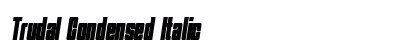 Trudal Condensed Italic Preview