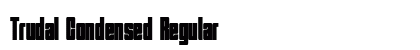 Trudal Condensed Regular Preview