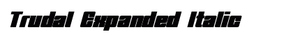 Trudal Expanded Italic Preview