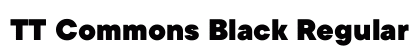 TT Commons Black Regular preview