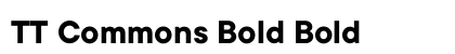 TT Commons Bold Bold preview