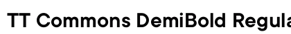 TT Commons DemiBold Regular preview
