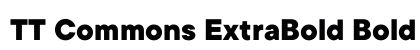 TT Commons ExtraBold Bold preview