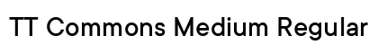 TT Commons Medium Regular preview