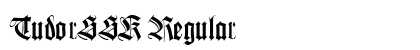 TudorSSK Regular Preview