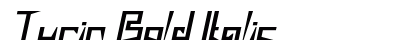 Turin Bold Italic Preview