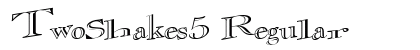 TwoShakes5 Regular Preview