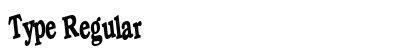 Type Regular Preview