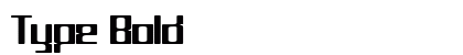 Type Bold preview