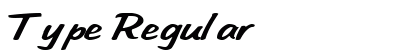 Type Regular Preview