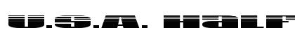 U.S.A. Halftone Regular preview