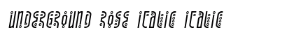 Underground Rose Italic Italic preview
