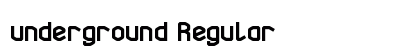 underground Regular preview