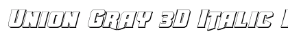 Union Gray 3D Italic Italic preview