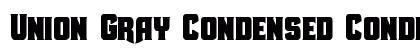 Union Gray Condensed Condensed preview