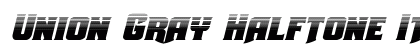Union Gray Halftone Italic Italic preview