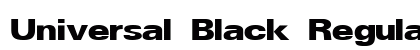 Universal Black Regular preview
