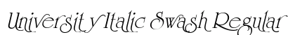 University Italic Swash Regular preview