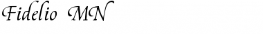 Download Fidelio MN Font Download Fidelio MN Font