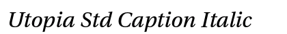 Utopia Std Caption Italic Preview