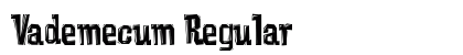 Vademecum Regular preview