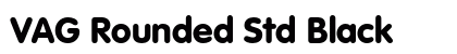 VAG Rounded Std Black preview