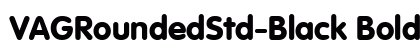 VAGRoundedStd-Black Bold preview