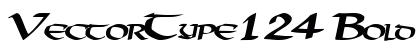 VectorType124 Bold preview