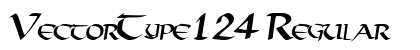 VectorType124 Regular preview