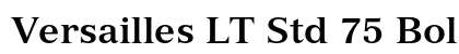 Versailles LT Std 75 Bold Preview