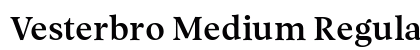 Vesterbro Medium Regular preview