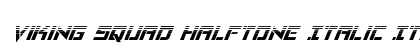 Viking Squad Halftone Italic Italic preview