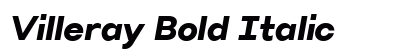 Villeray Bold Italic Preview