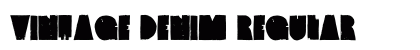 Vintage Denim Regular preview