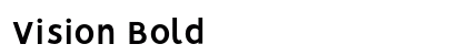 Vision Bold preview