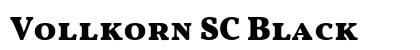 Vollkorn SC Black preview
