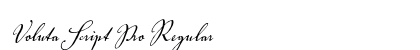 Voluta Script Pro Regular preview
