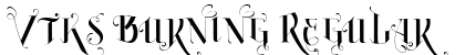Vtks Burning Regular preview