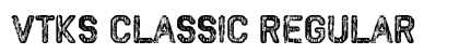 VTKS CLASSIC Regular preview